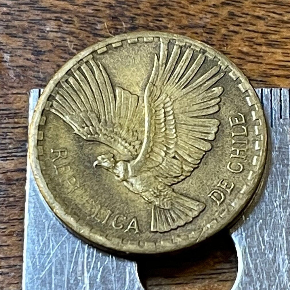 Andean Condor 2 Centesimos Chile Authentic Coin Money for Jewelry and Craft Making