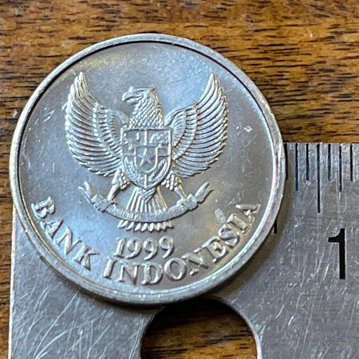 Black-naped Oriole & Garuda Indonesia 50 Rupiah Authentic Coin Money for Jewelry and Craft Making