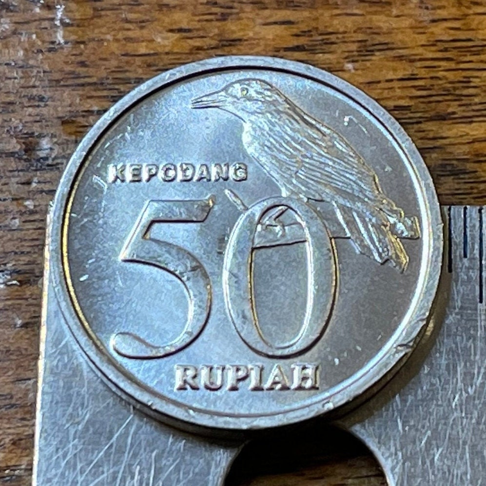 Garuda & Black-naped Oriole Indonesia 50 Rupiah Authentic Coin Money for Jewelry and Craft Making
