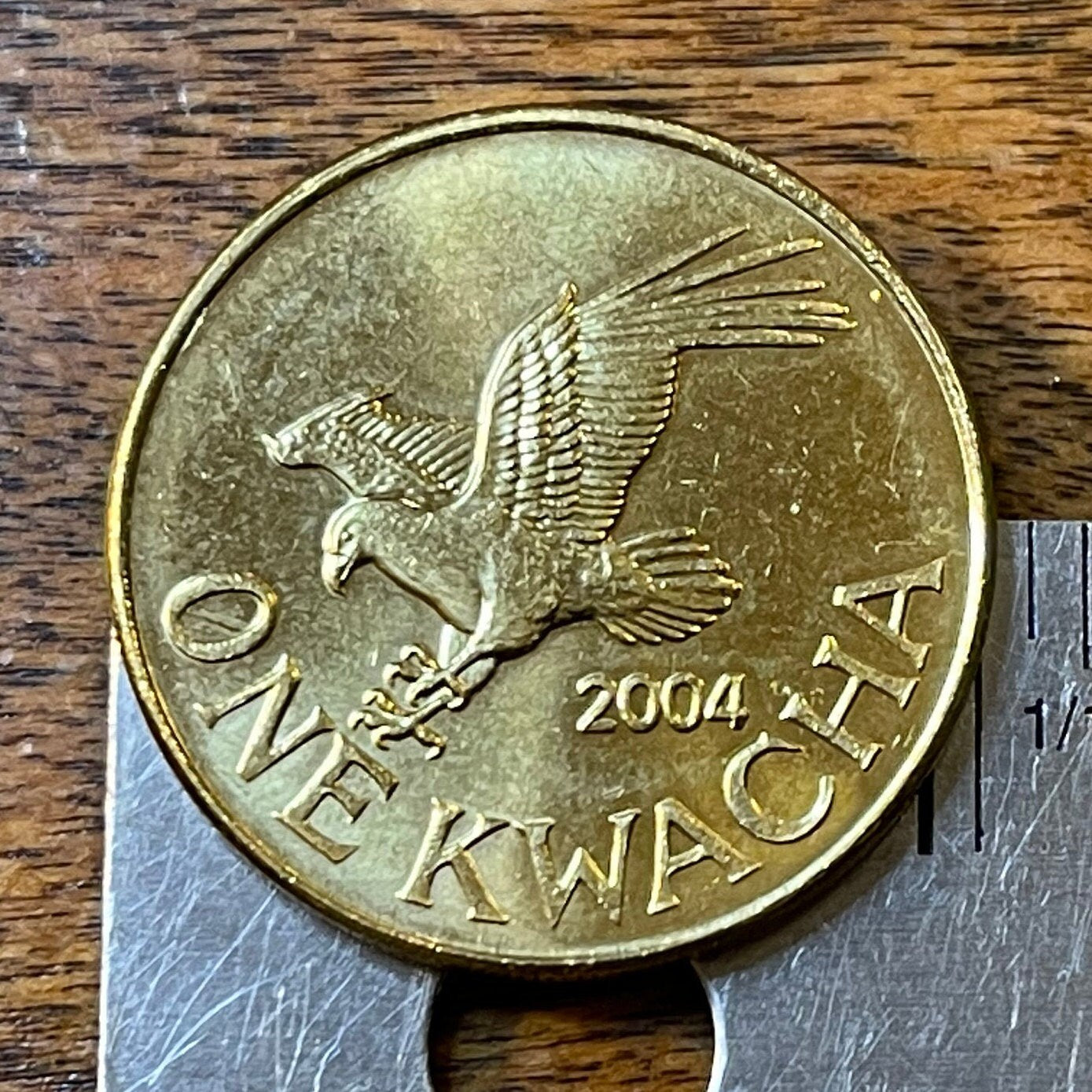 African Fish Eagle Malawi 1 Kwacha Authentic Coin Money for Jewelry and Craft Making