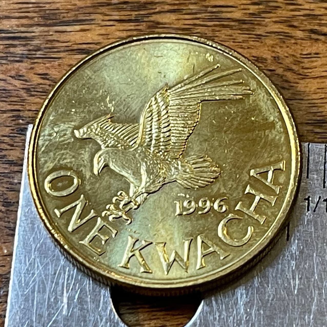 Fish Eagle & President Muluzi Malawi 1 Kwacha Authentic Coin Money for Jewelry and Craft Making (President Bakili Muluzi)