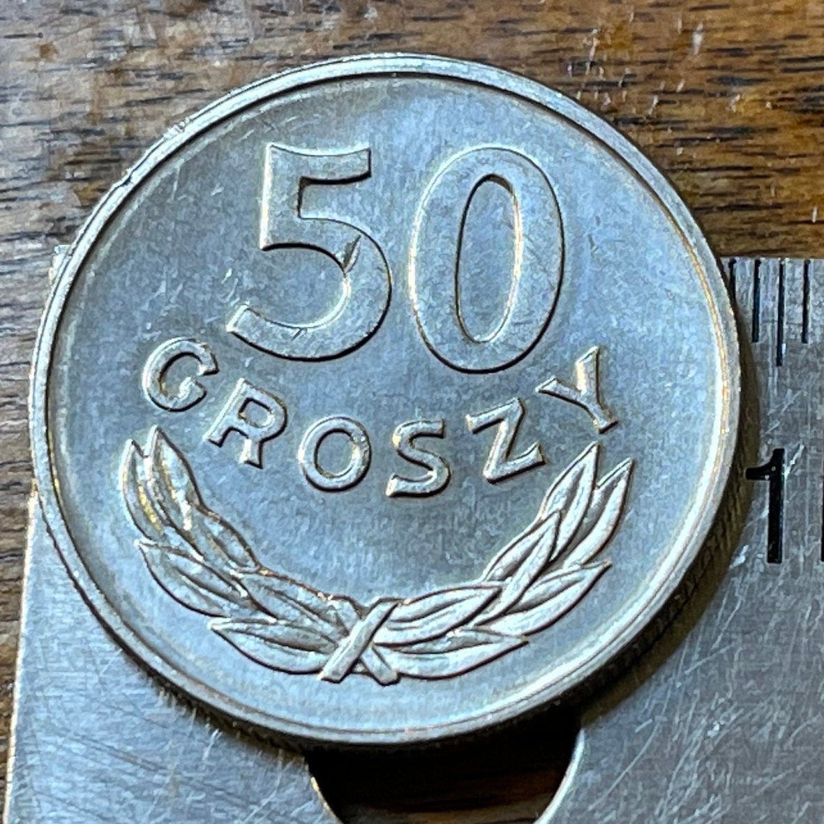 White Eagle 50 Groszy Poland Authentic Coin Money for Jewelry and Craft Making