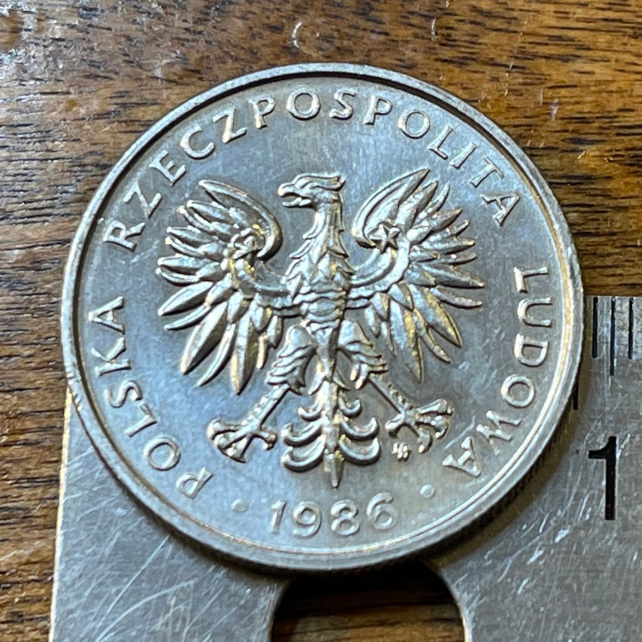 White Eagle 50 Groszy Poland Authentic Coin Money for Jewelry and Craft Making