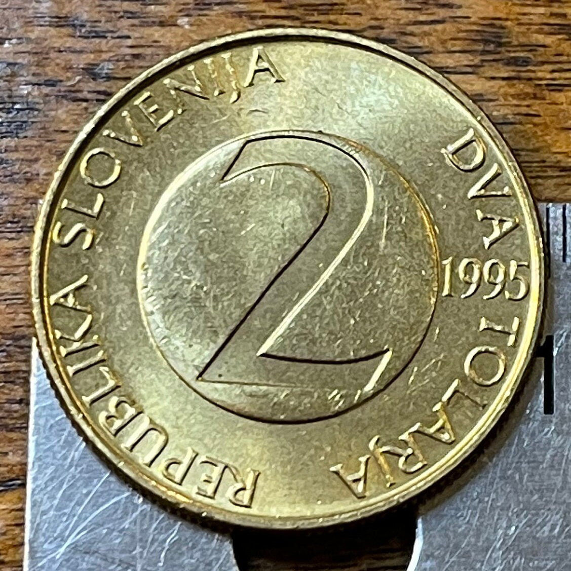 Barn Swallow Slovenia 2 Tolarja Authentic Coin Money for Jewelry and Craft Making