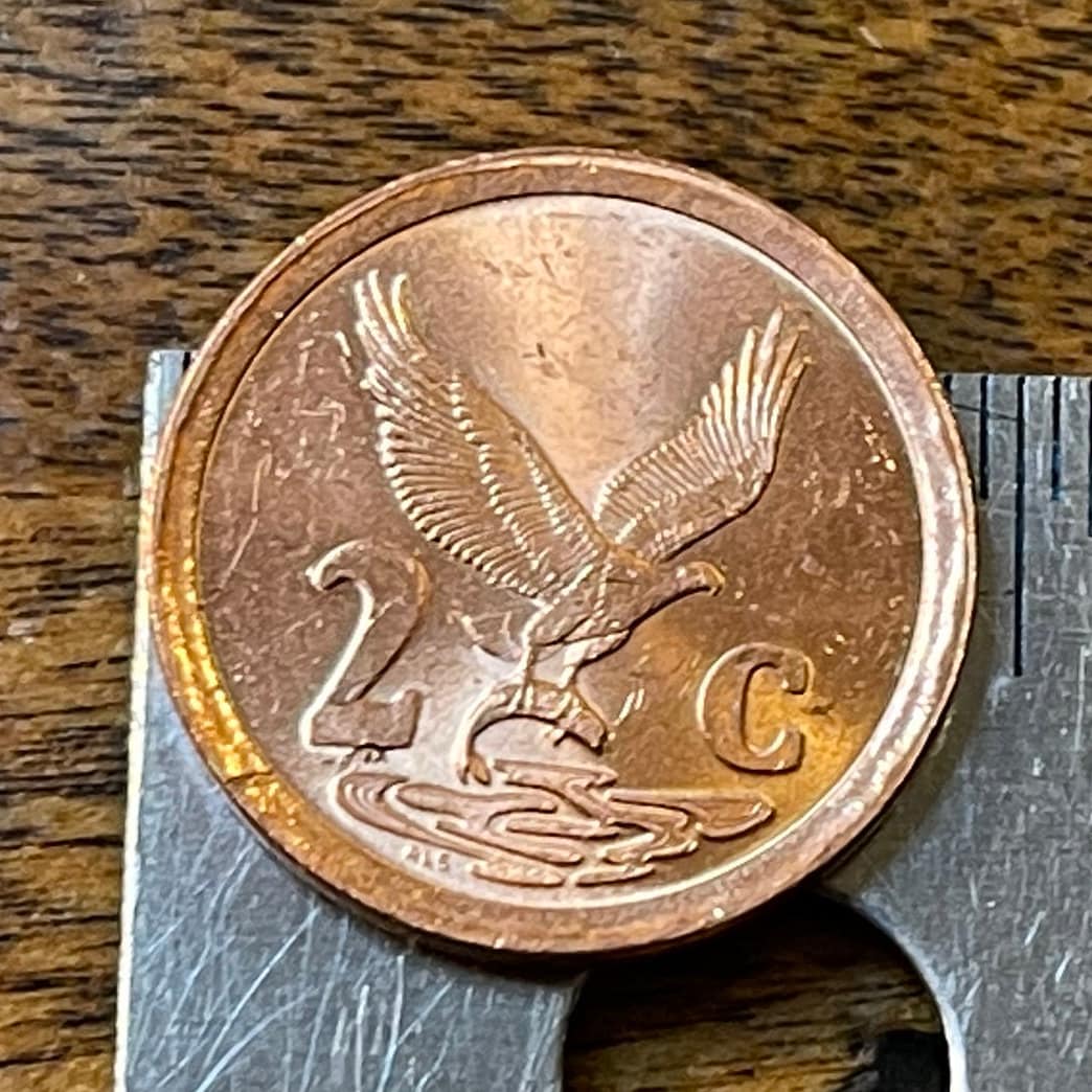 Eagle Catching Fish 2 Cents South Africa Authentic Coin Money for Jewelry and Craft Making