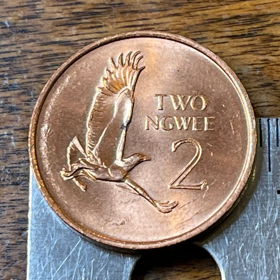 Martial Eagle & Kenneth Kaunda 2 Ngwee Zambia Authentic Coin Money for Jewelry and Craft Making