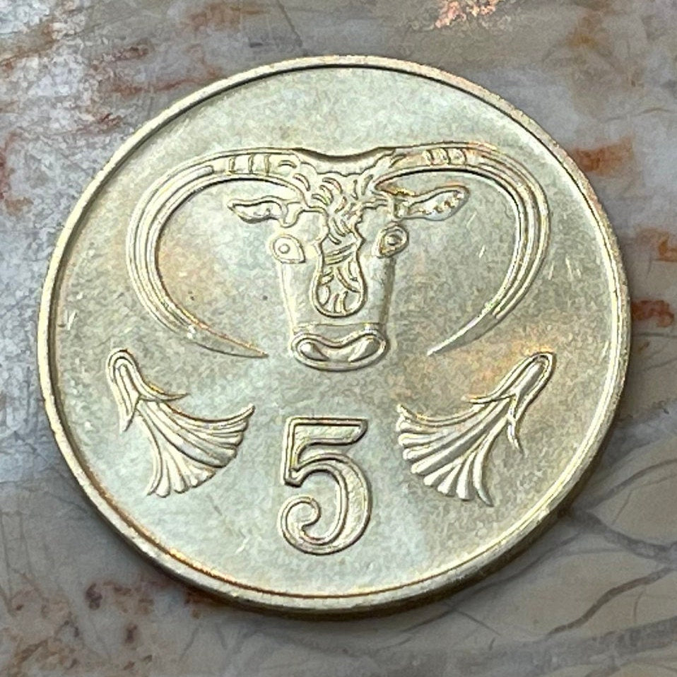 Bull Cyprus 5 Cents Authentic Coin Money for Jewelry and Craft Making