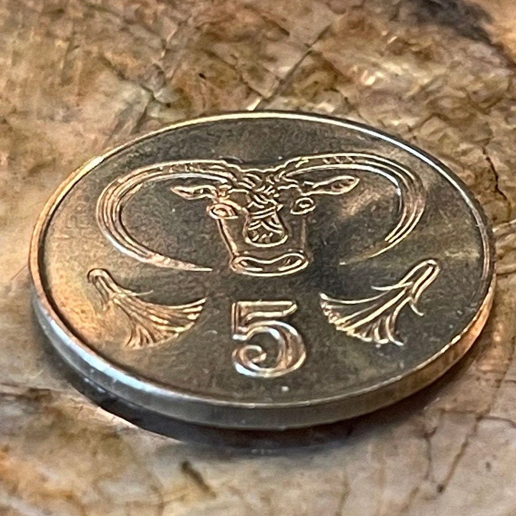 Bull Cyprus 5 Cents Authentic Coin Money for Jewelry and Craft Making