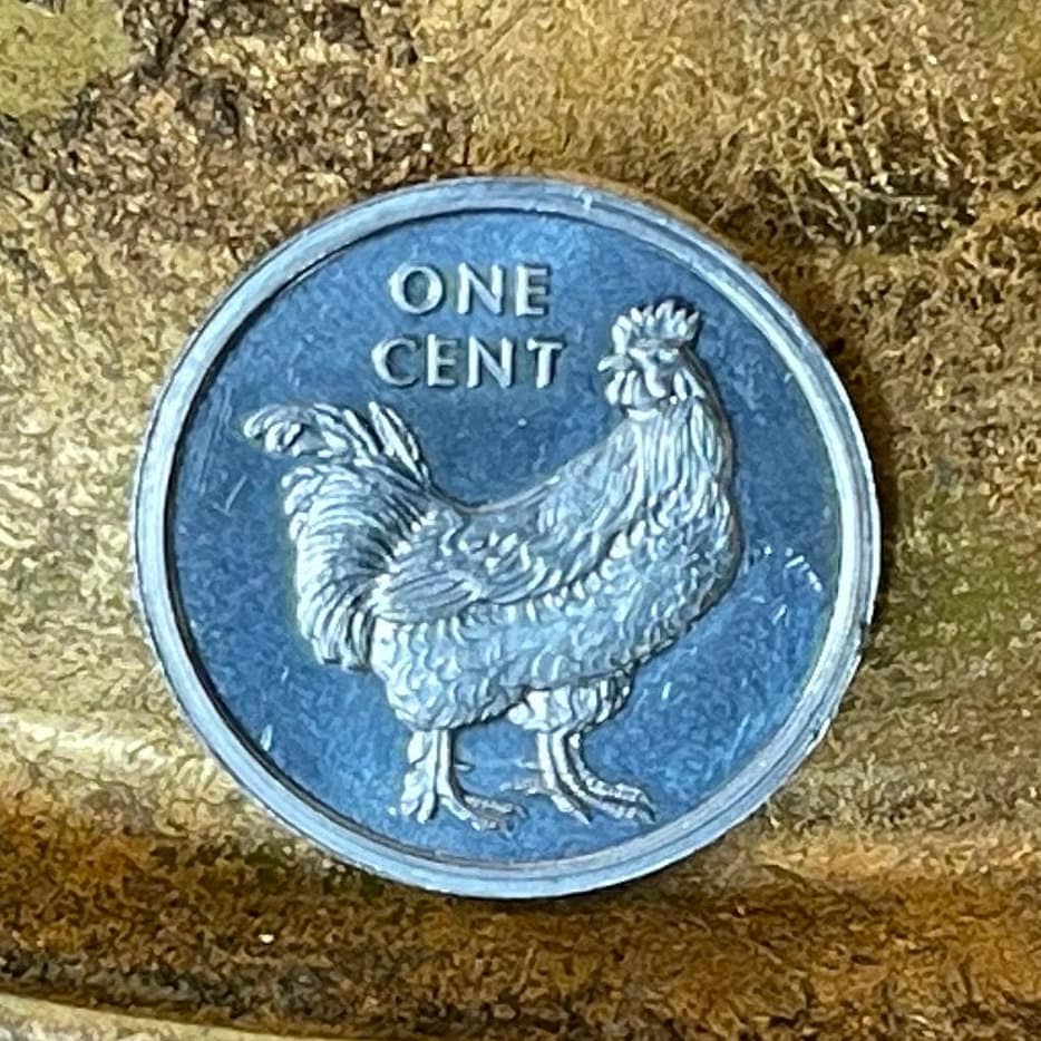 Wild Rooster 1 Cent Cook Islands Authentic Coin Money for Jewelry and Craft Making (Wild Chicken)