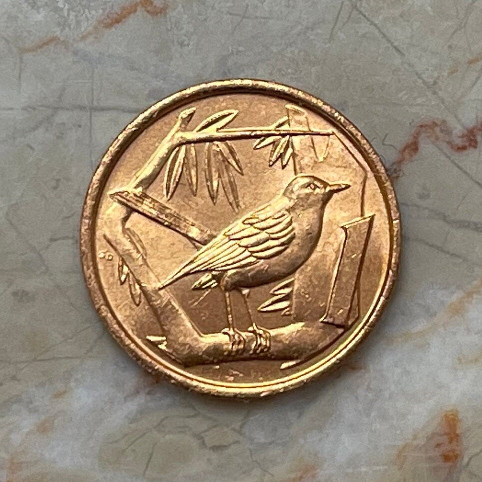Grand Cayman Thrush Cayman Islands 1 Cent Authentic Coin Money for Jewelry and Craft Making