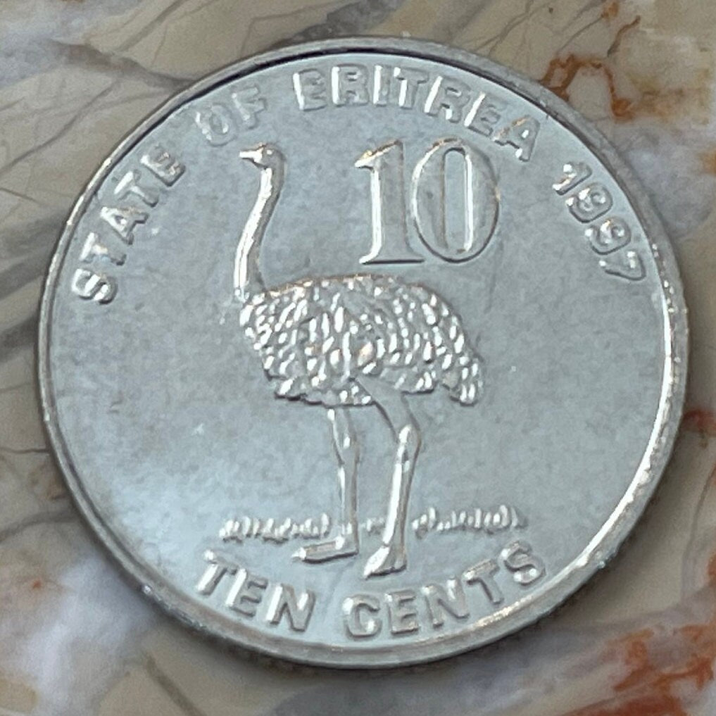 Somali Ostrich & Liberty/Equality/Justice Eritrea 10 Cents Authentic Coin Money for Jewelry and Craft Making