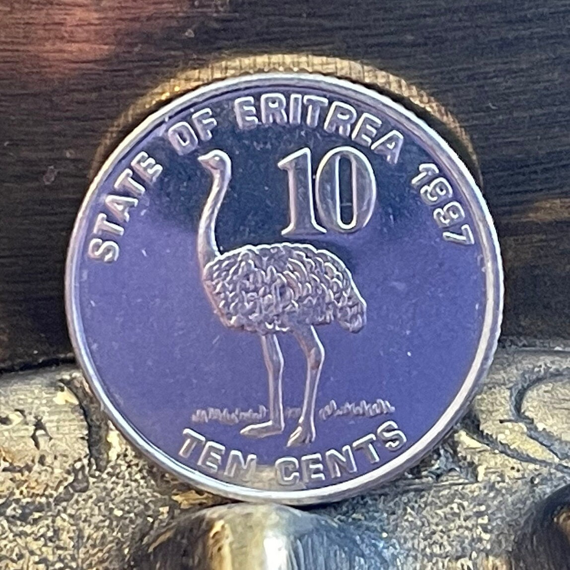 Somali Ostrich & Liberty/Equality/Justice Eritrea 10 Cents Authentic Coin Money for Jewelry and Craft Making