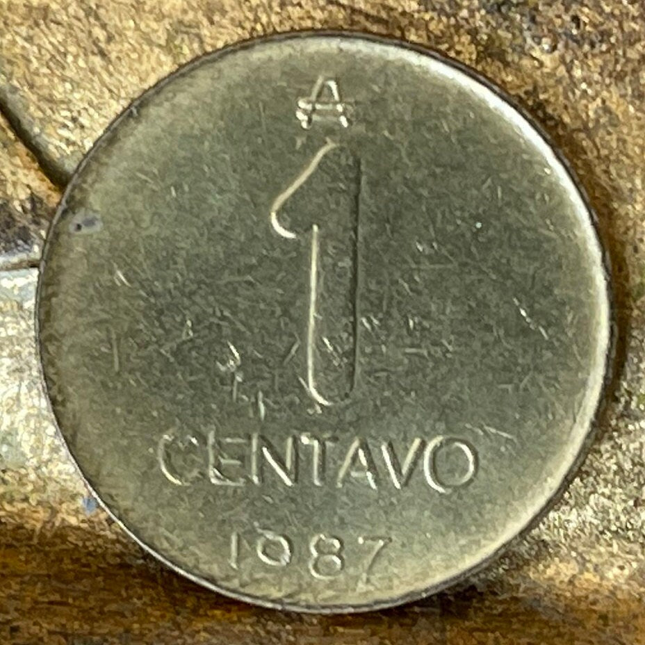 Greater Rhea Argentina 1 Centavo Authentic Coin Money for Jewelry and Craft Making 1987