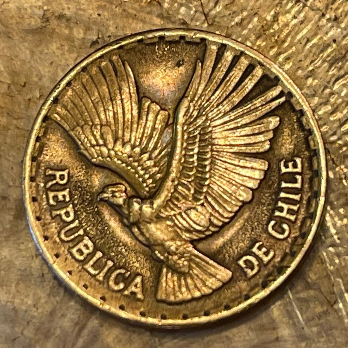 Andean Condor 5 Centesimos Chile Authentic Coin Money for Jewelry and Craft Making