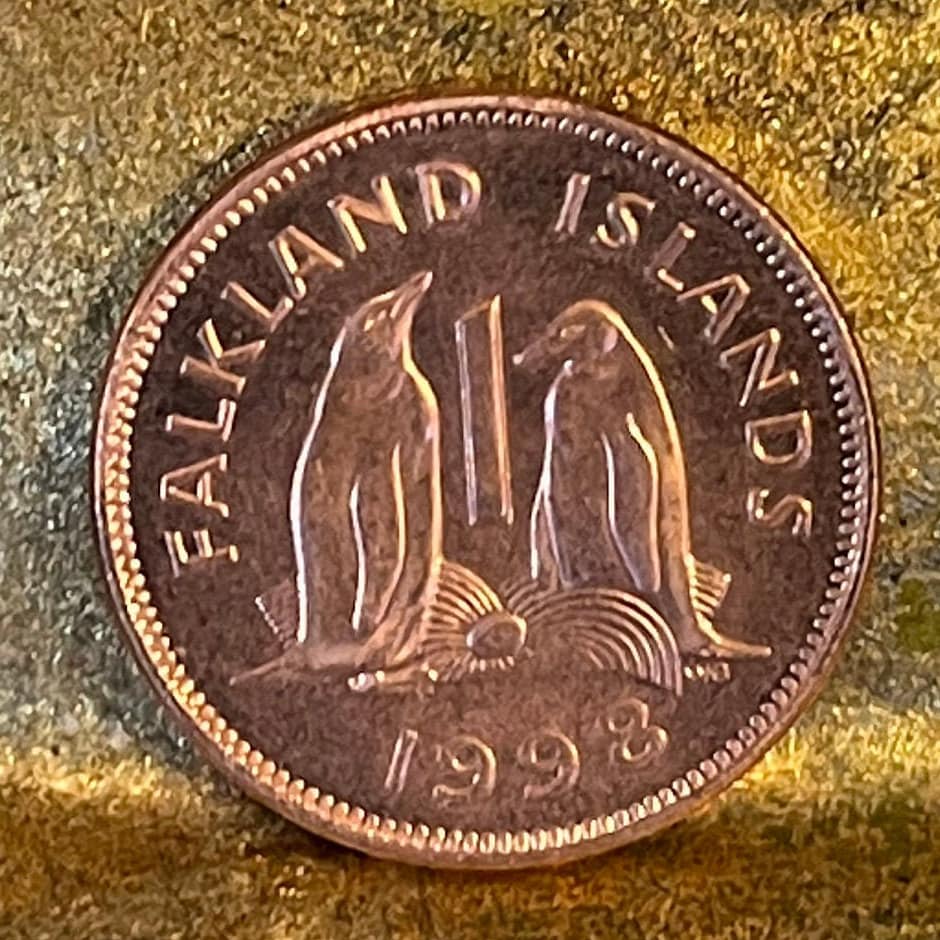 Gentoo Penguins Falkland Islands 1 Penny Authentic Coin Money for Jewelry and Craft Making