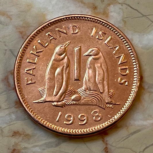 Gentoo Penguins Falkland Islands 1 Penny Authentic Coin Money for Jewelry and Craft Making