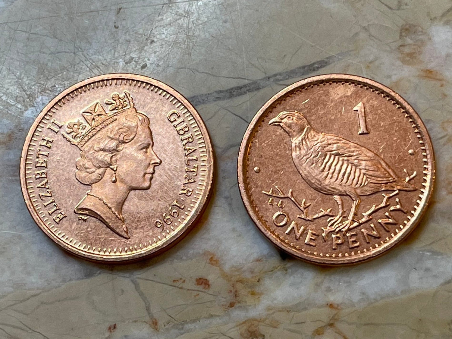 Barbary Partridge Gibraltar 1 Penny Authentic Coin Money for Jewelry and Craft Making