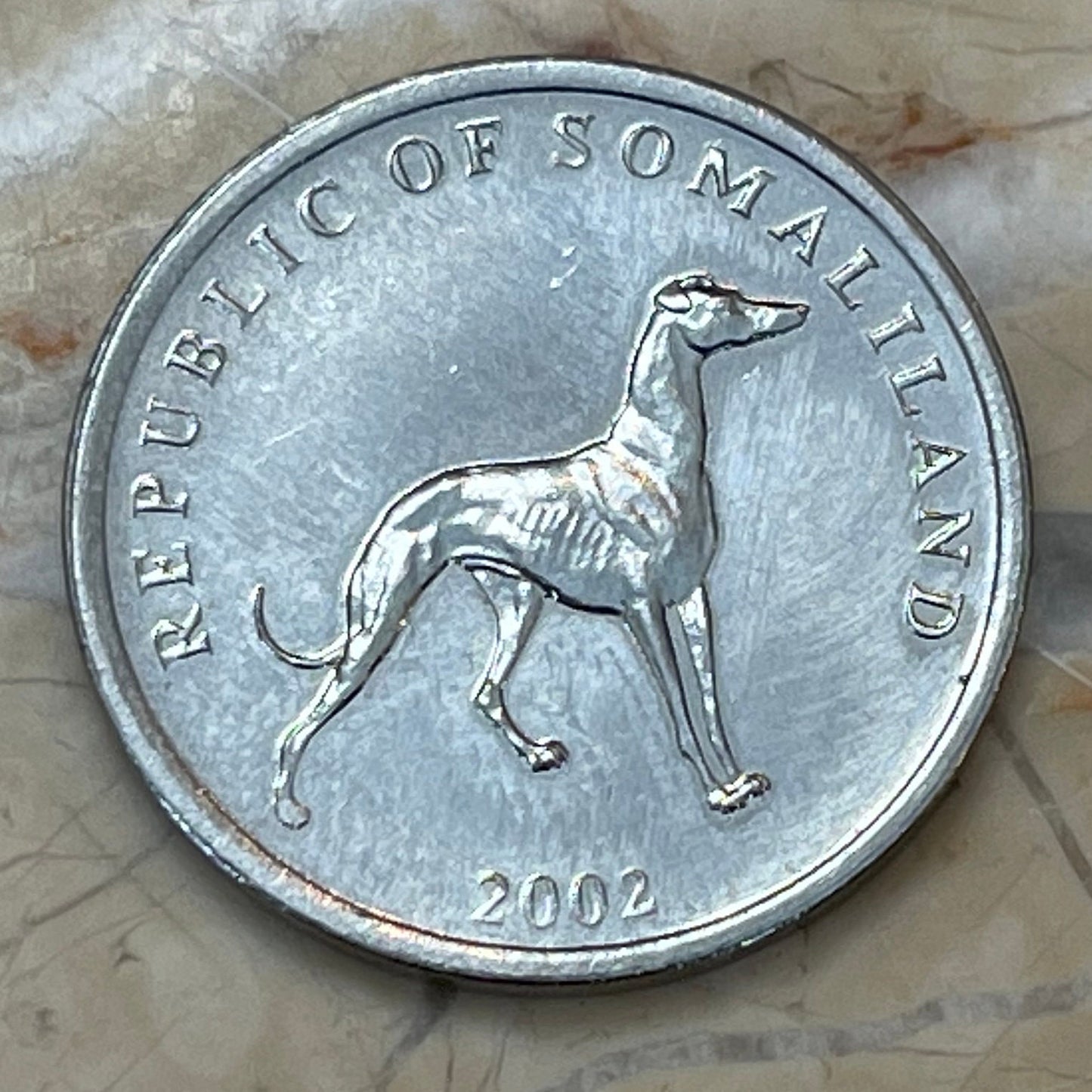 Greyhound Somaliland 20 Shillings Authentic Coin Money for Jewelry and Craft Making (Italian Greyhound)