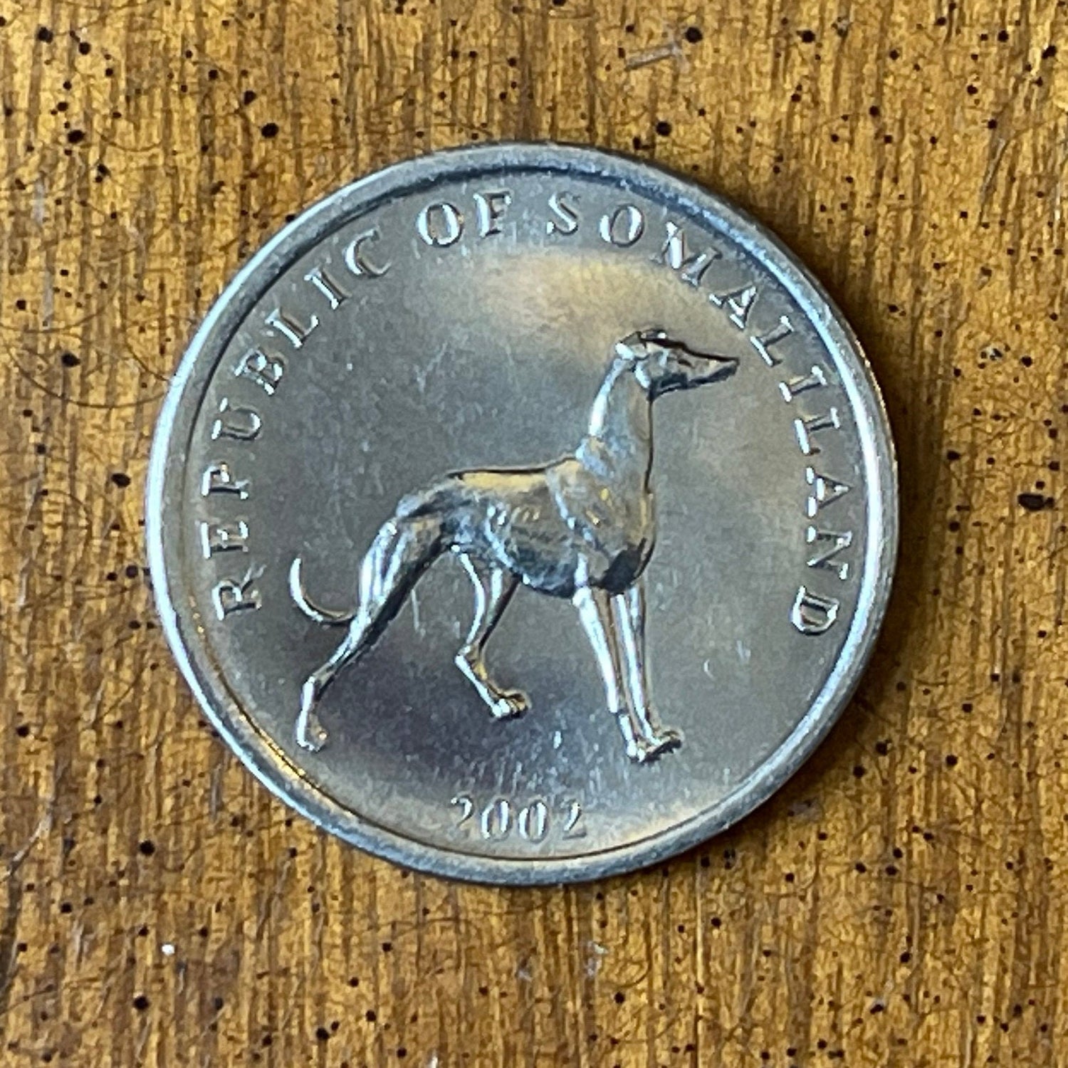 Greyhound Somaliland 20 Shillings Authentic Coin Money for Jewelry and Craft Making (Italian Greyhound)