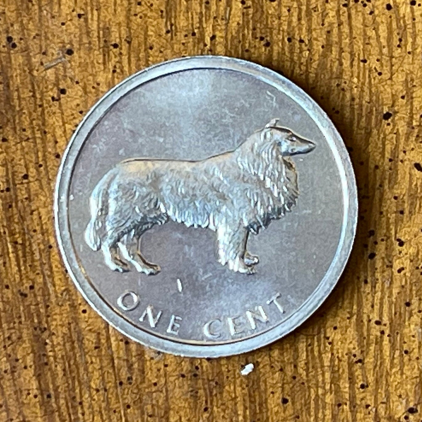 Border Collie Cook Islands 1 Cent Authentic Coin Money for Jewelry and Craft Making