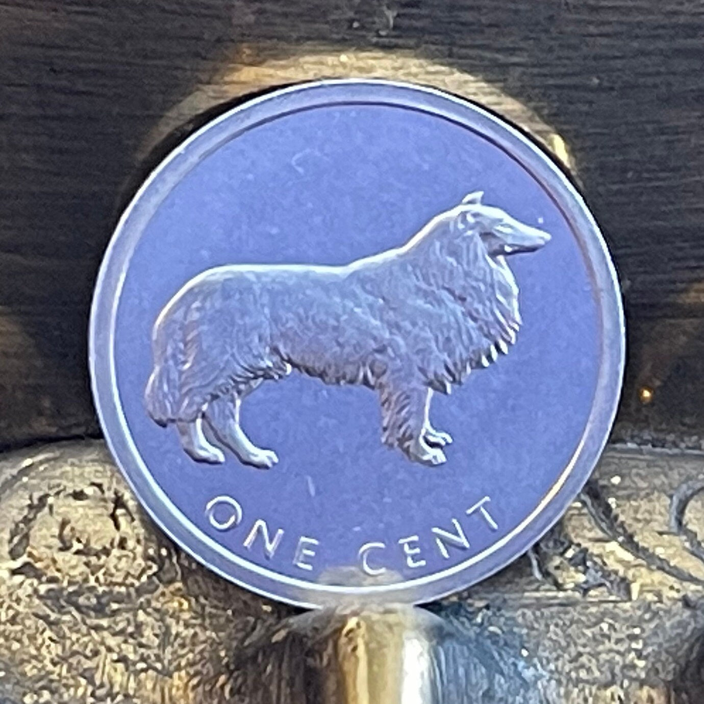 Border Collie Cook Islands 1 Cent Authentic Coin Money for Jewelry and Craft Making