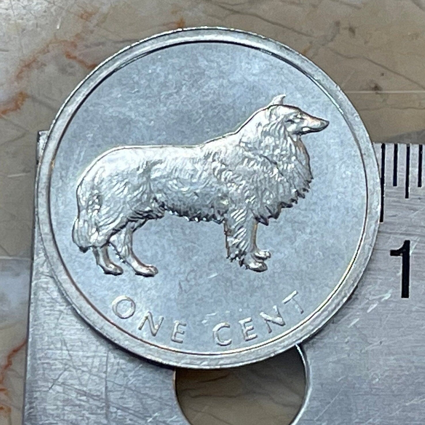 Border Collie Cook Islands 1 Cent Authentic Coin Money for Jewelry and Craft Making