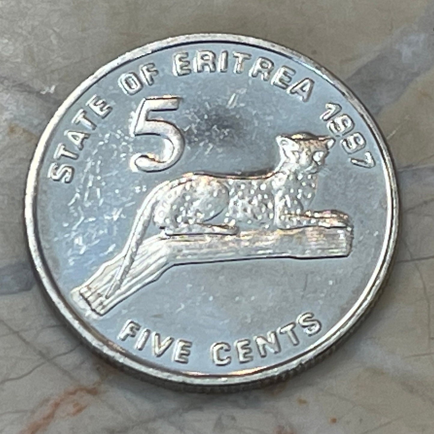 Leopard & Liberty Equality Justice Eritrea 5 Cents Authentic Coin Money for Jewelry and Craft Making