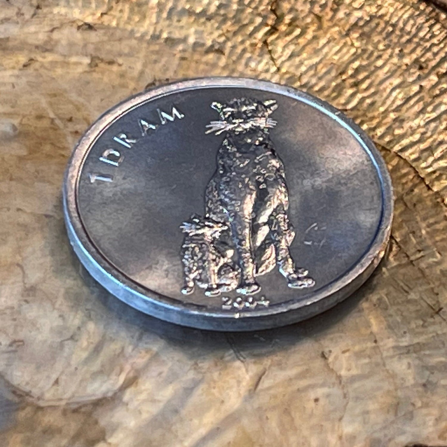 Cheetah w/ Cub Nagorno-Karabakh 1 Dram Authentic Coin for Jewelry and Craft Making