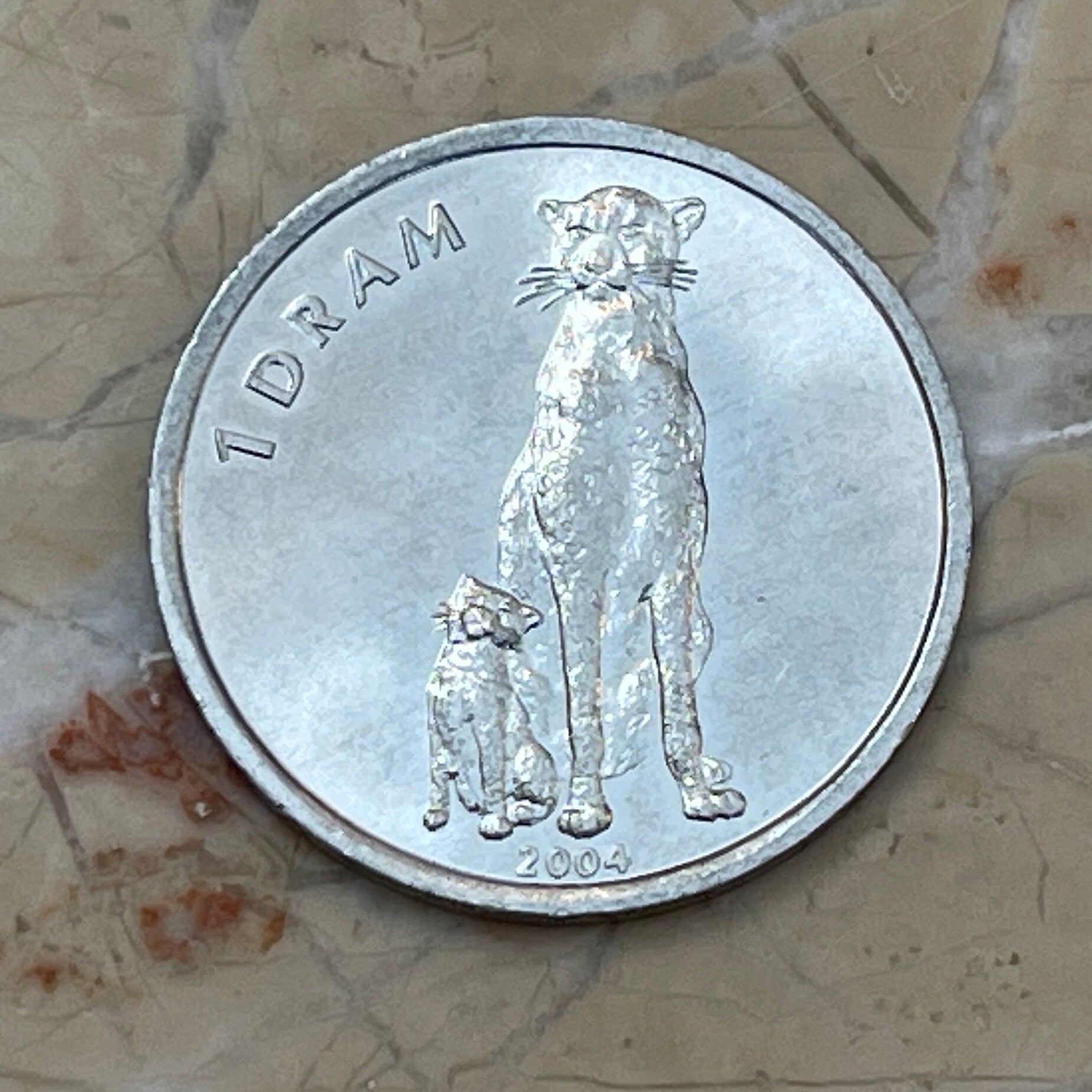 Cheetah w/ Cub Nagorno-Karabakh 1 Dram Authentic Coin for Jewelry and Craft Making