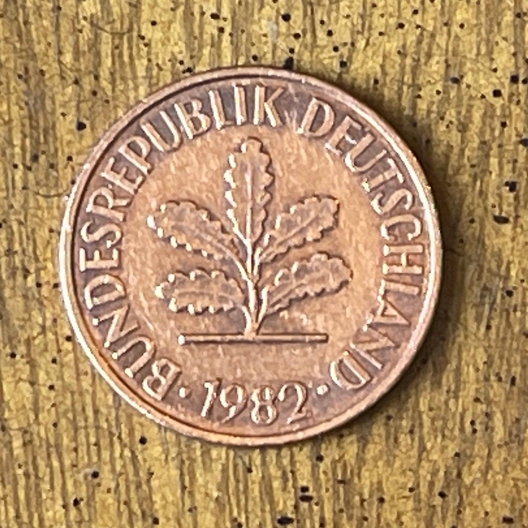 Oak Seedling 2 Pfennig German Authentic Coin Money for Jewelry and Craft Making