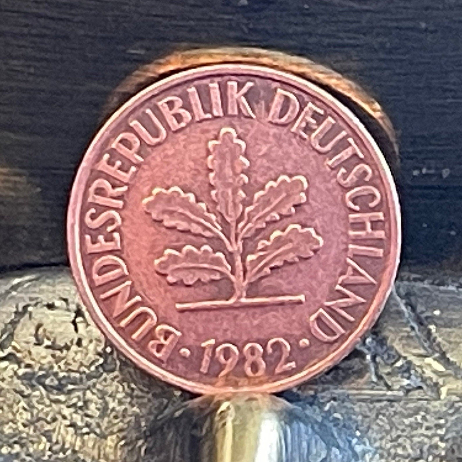 Oak Seedling 2 Pfennig German Authentic Coin Money for Jewelry and Craft Making