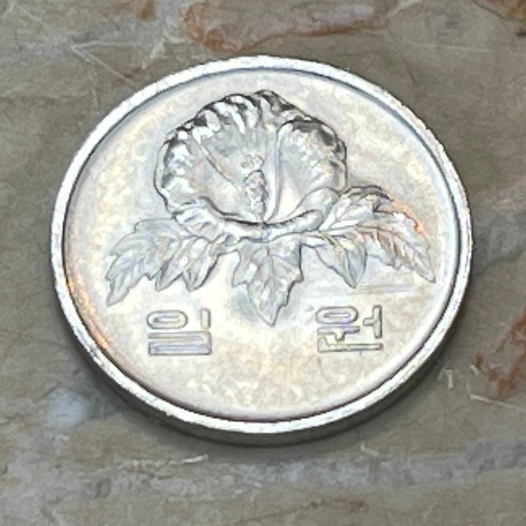 Rose of Sharon South Korea Authentic Coin Money 1 Won for Jewelry and Craft Making