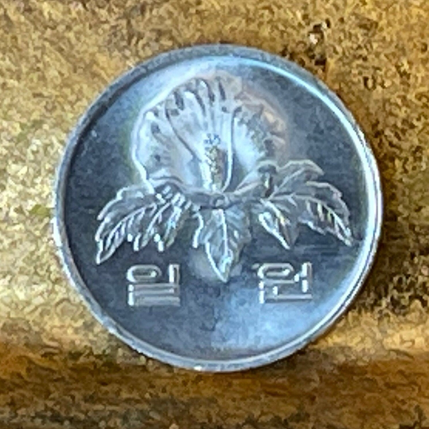 Rose of Sharon South Korea Authentic Coin Money 1 Won for Jewelry and Craft Making