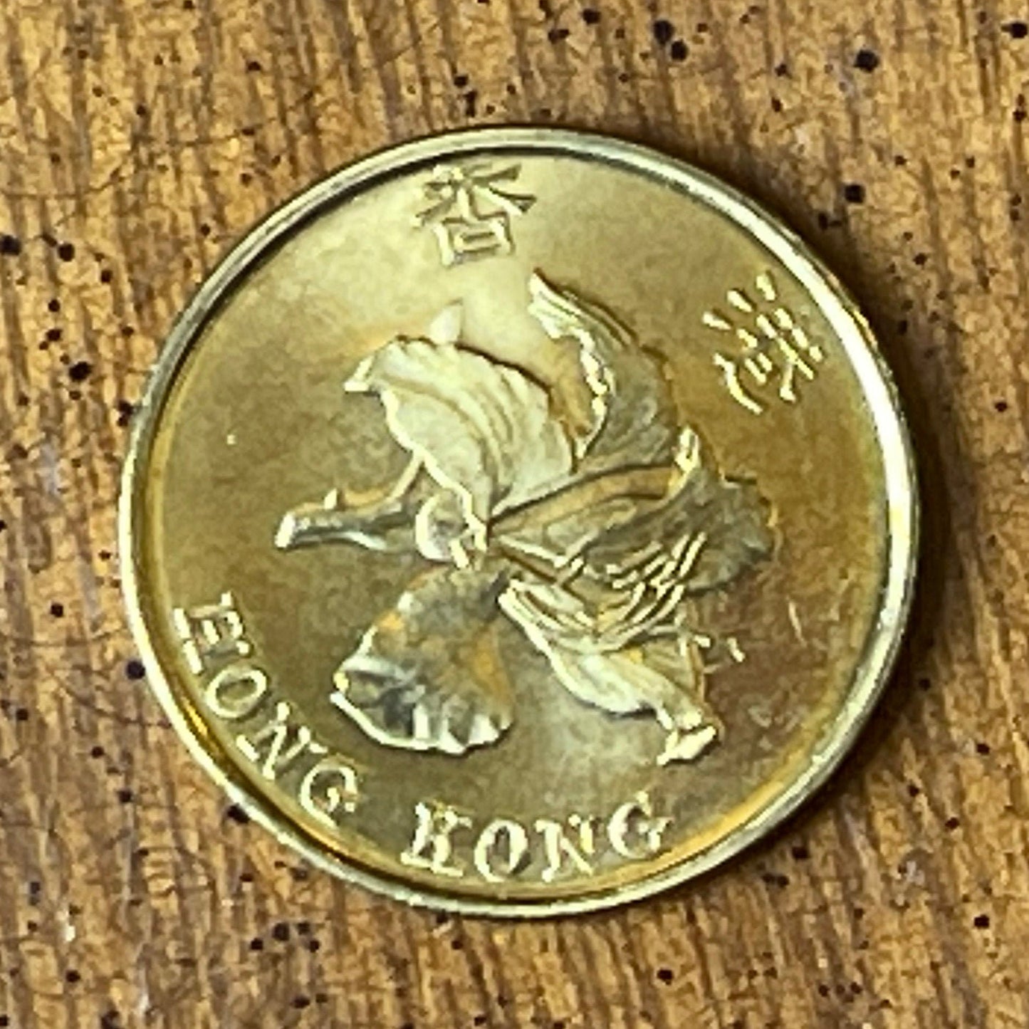 Bauhinia Orchid 10 Cent Hong Kong Authentic Coin Money for Jewelry and Craft Making