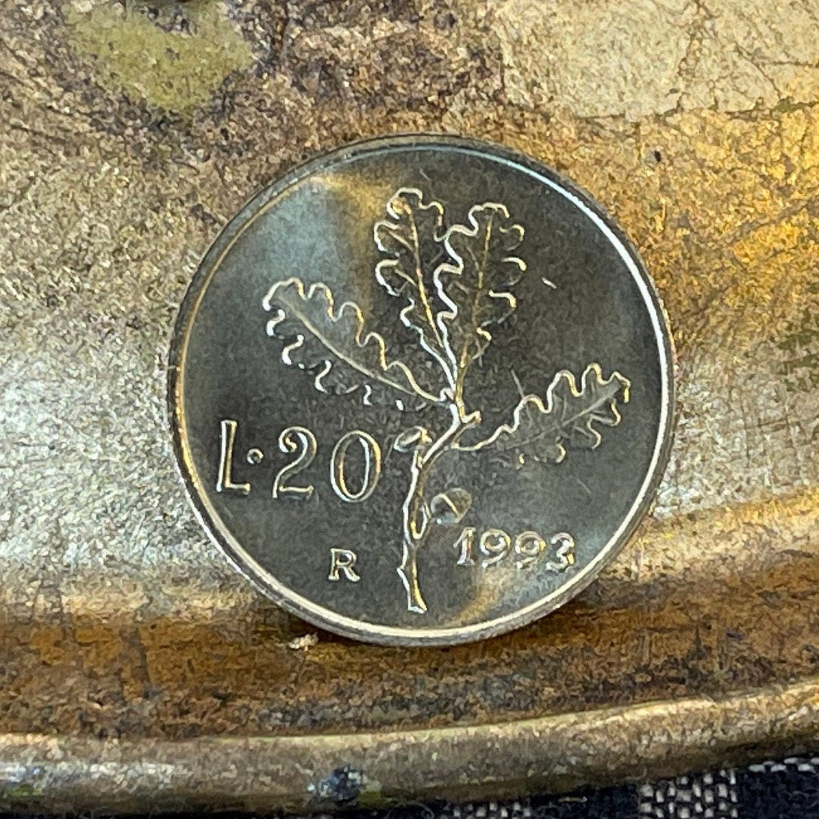 Oak Branch Italy 20 Lire Authentic Coin Money for Jewelry and Craft Making