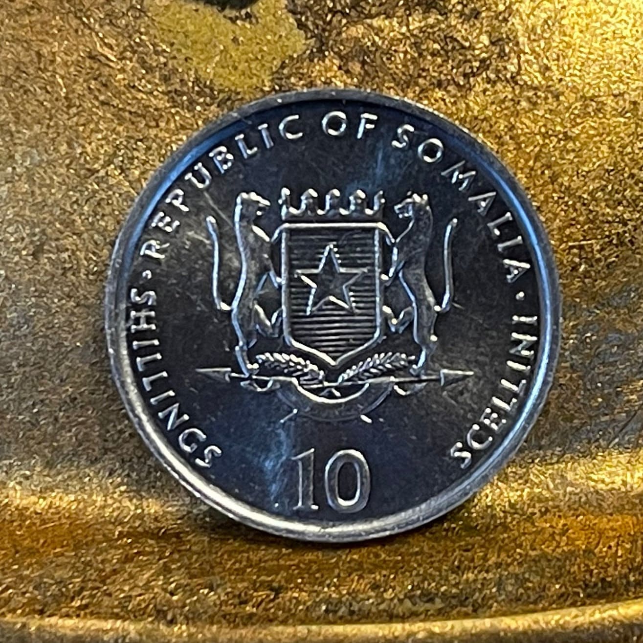 Camel Somalia 10 Shillings Authentic Coin Money for Jewelry and Craft Making
