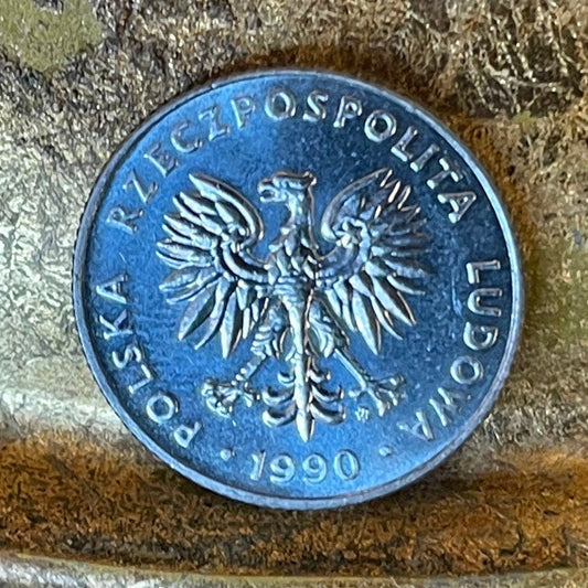 White Eagle 20 Zlotych Poland Authentic Coin Money for Jewelry and Craft Making