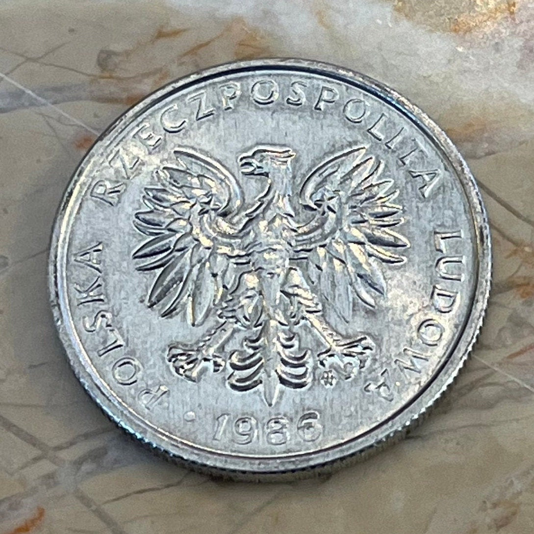 White Eagle 50 Groszy Poland Authentic Coin Money for Jewelry and Craft Making