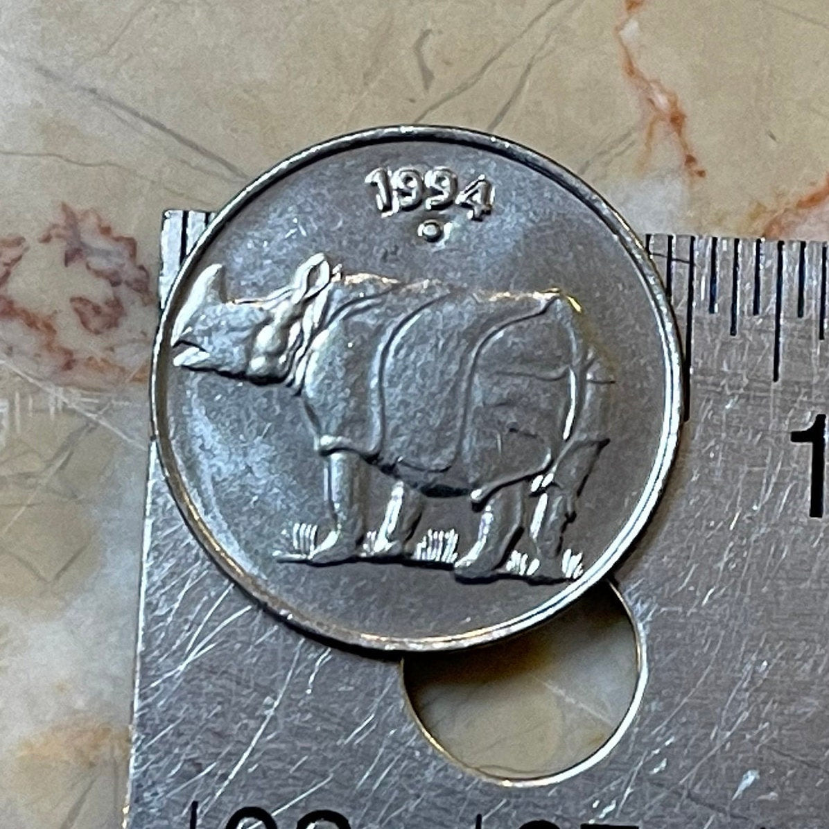 Rhinoceros & Ashoka Lion Capitol India 25 Paise Authentic Coin Money for Jewelry and Craft Making