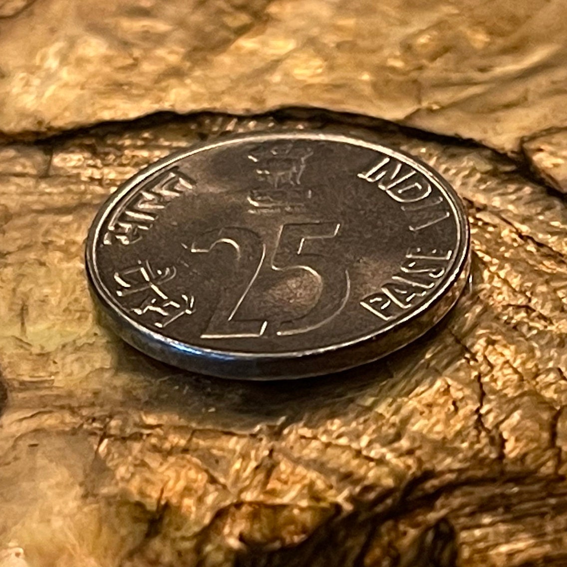 Rhinoceros & Ashoka Lion Capitol India 25 Paise Authentic Coin Money for Jewelry and Craft Making