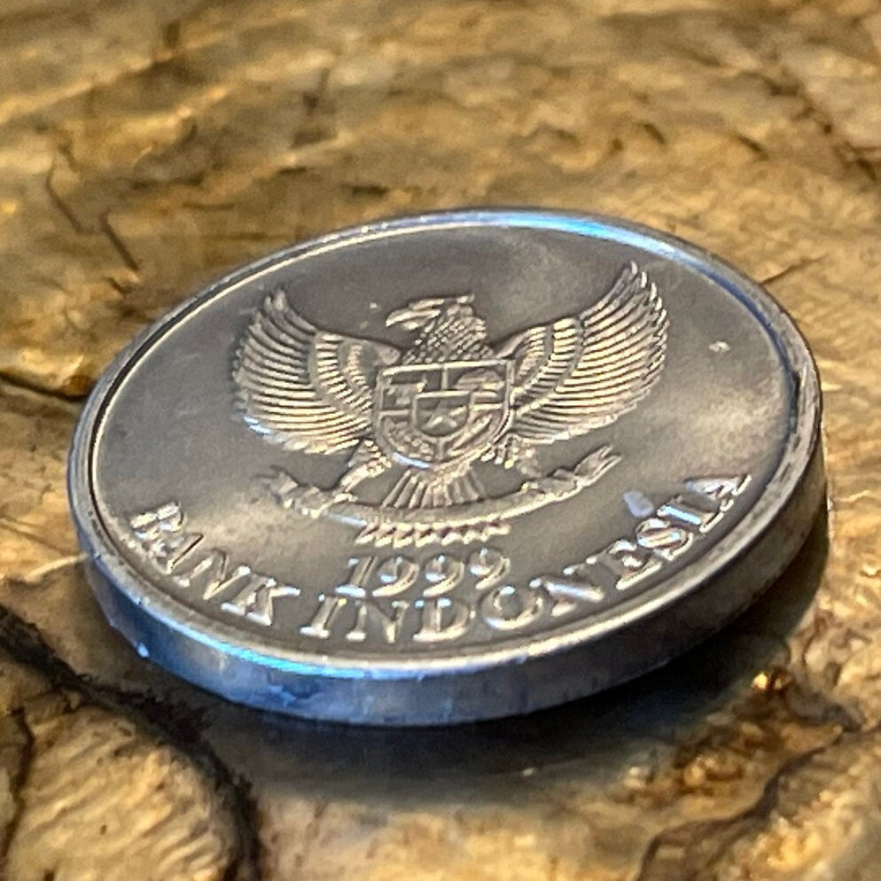 Black-naped Oriole & Garuda Indonesia 50 Rupiah Authentic Coin Money for Jewelry and Craft Making