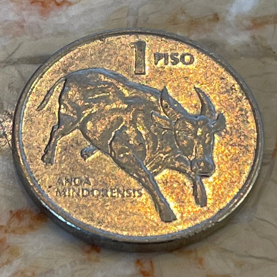 Dwarf Buffalo & Jose Rizal Philippines 1 Piso Authentic Coin Money for Jewelry and Craft Making (Tamaraw Cattle)