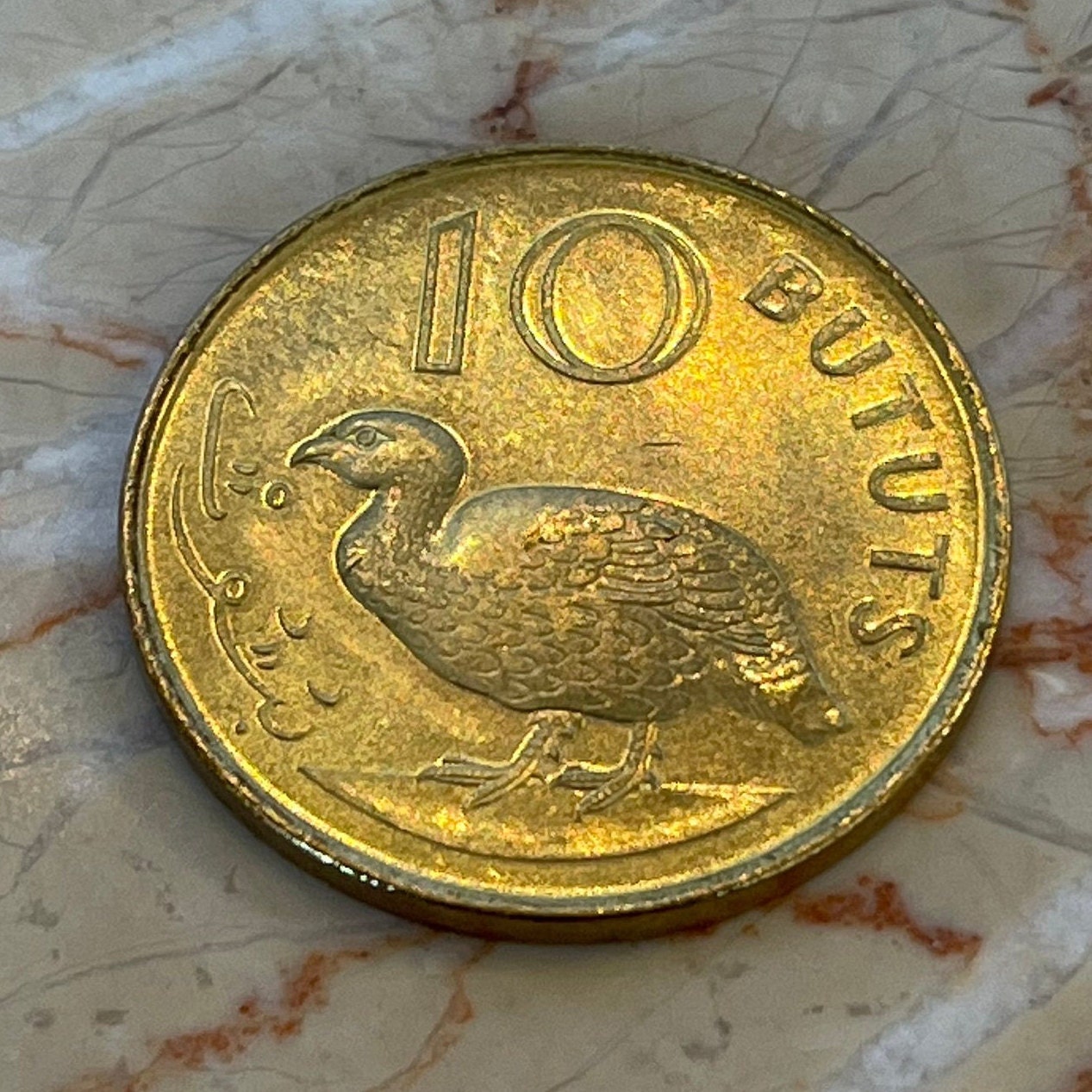 Double-Spurred Francolin Gambia 10 Butut Authentic Coin Money for Jewelry and Craft Making