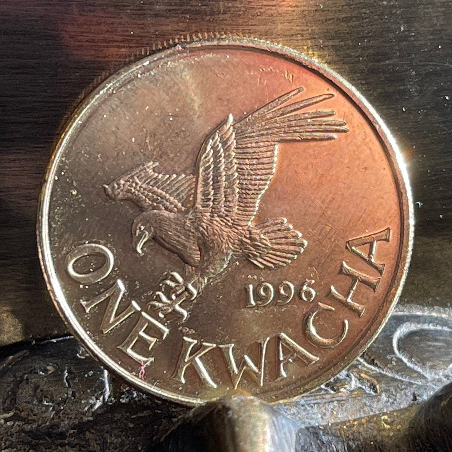 Bakili Muluzi & Eagle 1 Kwacha Malawi Authentic Coin Money for Jewelry and Craft Making
