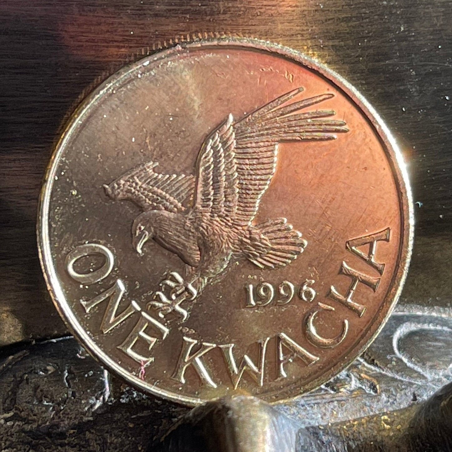 Fish Eagle & President Muluzi Malawi 1 Kwacha Authentic Coin Money for Jewelry and Craft Making (President Bakili Muluzi)