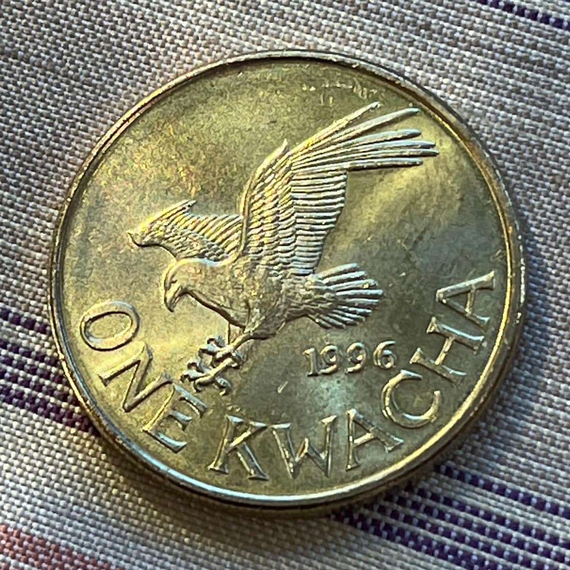 Fish Eagle & President Muluzi Malawi 1 Kwacha Authentic Coin Money for Jewelry and Craft Making (President Bakili Muluzi)