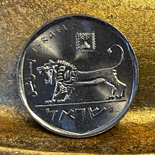 Lion & Menorah Israel 1/2 Sheqel "Seal of Shema" Authentic Coin Money for Jewelry and Craft Making (Shekel)