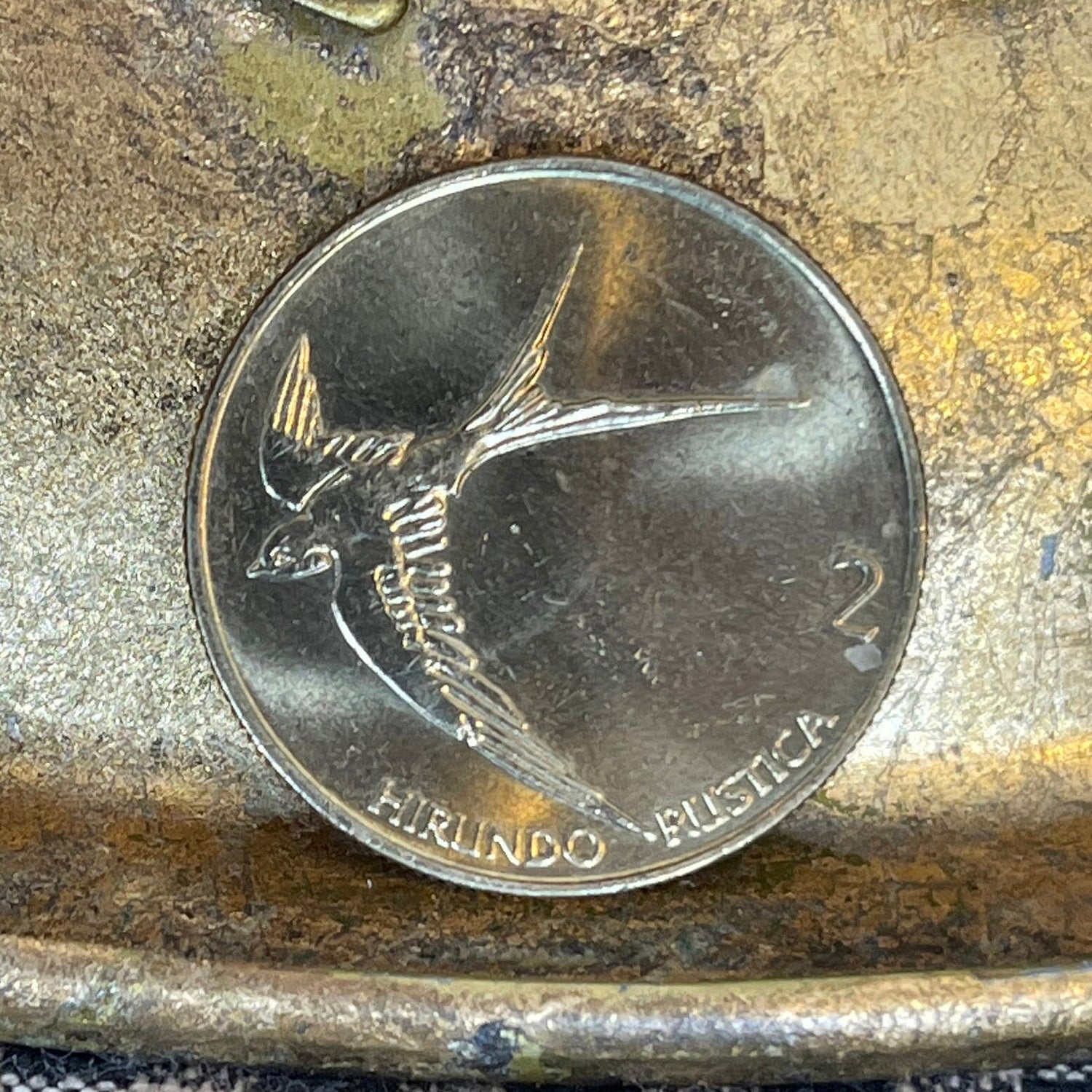Barn Swallow Slovenia 2 Tolarja Authentic Coin Money for Jewelry and Craft Making