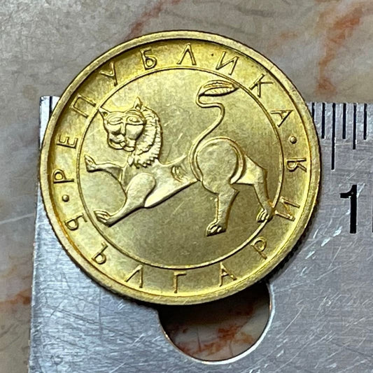 Ancient Lion 50 Stotinki Bulgaria Sculpture Authentic Coin Money for Jewelry and Craft Making