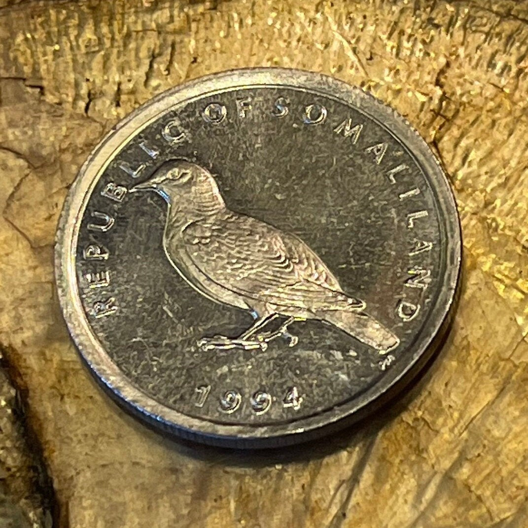 Somali Pigeon 1 Shilling Somaliland Authentic Coin Money for Jewelry and Craft Making
